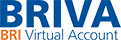 BRI VIRTUAL ACCOUNT